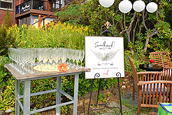 DAYLIGHT, DARK NIGHT AND BLUE SKIES WITH PAPA BUENO